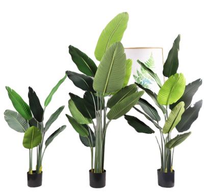 China Conveniently artificial bird of paradise palm tree bonsai banana plant artificial beauty majesty palm house home plant for sale