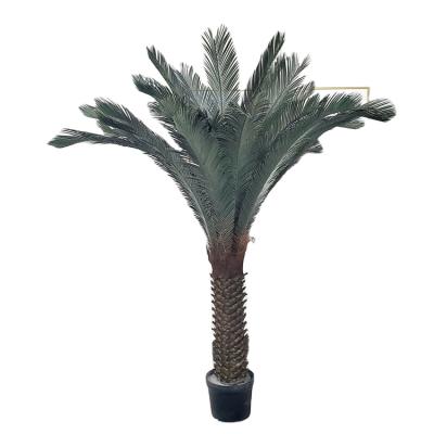 China Artificial Plants Home Decoration Beautiful Natural Potted Sago Tree Majesty Palm House Plants Convieniently, Durable for sale