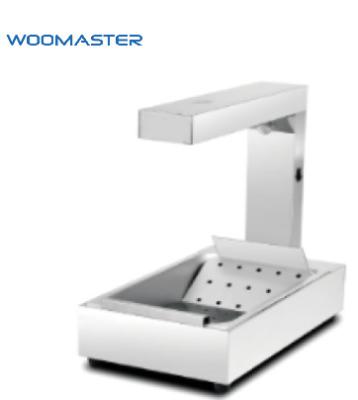 China Restaurant Canteen Hotel Food Store Woomaster Hot Sale Stainless Steel Food Fried Hotter Dump For Display for sale