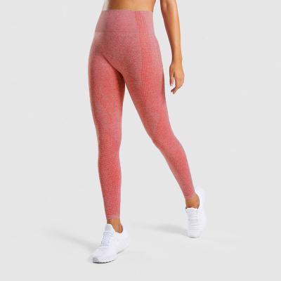 China New Design Breathable Hot Fashion Fitness Yoga Seamless Pants And Yoga Wear for sale