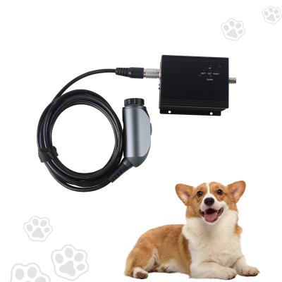 China Portable Black FHD 1080P Medizinische Laparoskopie ENT Endoskop für Tiere zu verkaufen