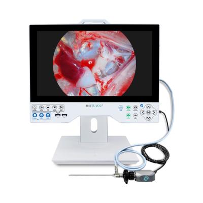 China 15.6 Inch Monitor All In One HD Endoscope Camera Com Função de Registro Para ENT Laparoscopia Histeroscopia Urologia à venda