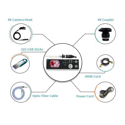 China LED 100W 4K Endoskopie-Kamerasystem eingebaut in Lichtquelle für Laparoskop zu verkaufen