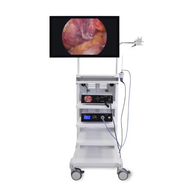 China High Definition 4K Medical Endoscopy Video Camera System for Laparoscopy Tower Urology AWB Supported for sale