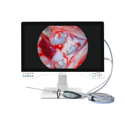 China Sistema de cámara de endoscopio 4K integrado con luz LED con monitor médico de 32 pulgadas en venta