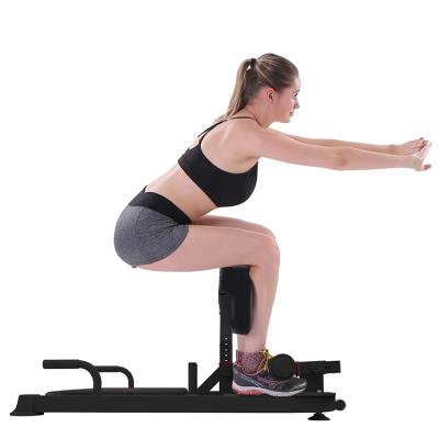 China 2021 Multifunctional Sissy Squat Rack Machine Indoor Home Hip Home Gym Deformation Device for sale