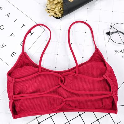 China Anti-wrinkle women sexy sports for fitness yoga gym wear stretch one size padded sports top yoga jogging top seamless sports bra for sale