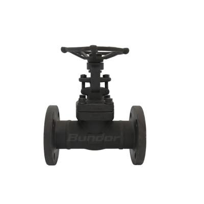 China Bundor anti-corrosion A105 forged DN50 class300 steel outside flange connection end gate valve for sale