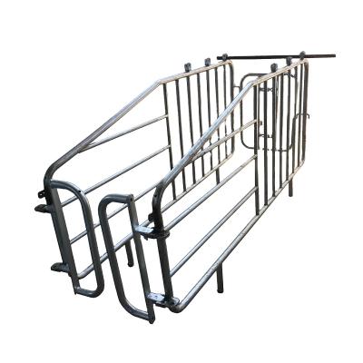 China PIG Farm Hog Barn Agriculture Equipment Sow Gestation Crate Hot Dip Galvanized Pipe for sale