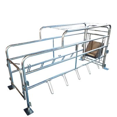 China Easily Assembled Livestock And Poultry Equipment Environmental Protection Material Farrowing Crate for sale