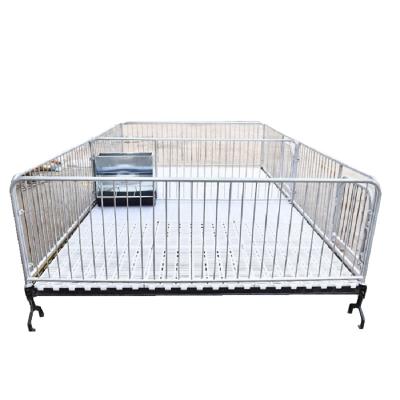 China PIG Farm Sow Farm Animal Farm Animal Agriculture Equipment Hot Dip Galvanized Steel Modern Equipment Piglet Pen Farm Sow Stall Crates Silver Finish Color for sale