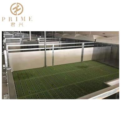 China PIG Farm Piglets Weaning Room PVC Panel Plastic Floor Pig Barn Nursery Suitable Pen for sale