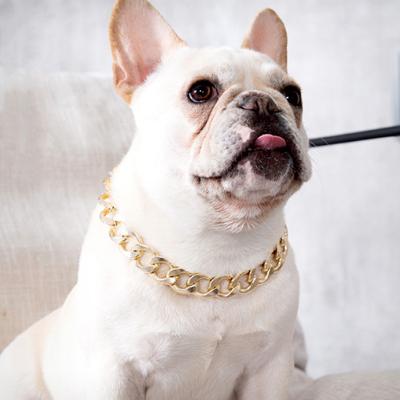 China Viable Gold Plated Collar Restriction Gold Plastic Cuban Dog Choke French Bulldog Dog Collar Chain Medium Large Collar for sale