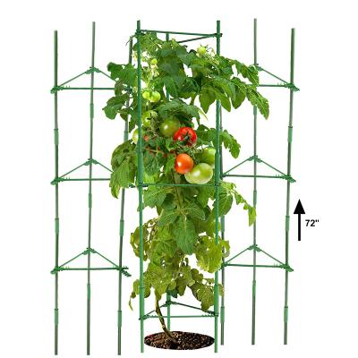 China Plant stakes can securely support your tomatoes for indoor & Outside. Hot Selling Green Plastic Coated Metal Plant Support Stake Cage Tomato Plant Stake Tomato Cages for sale