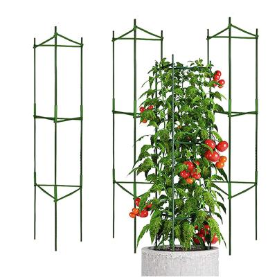 China Plant stakes can securely support your tomatoes for indoor & Outside. 2021 High Quality Plant Stakes Garden Tomato Trellis Staples Tomato Plant Cage Plant Support Stake for sale