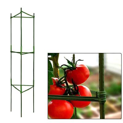 China Plant stakes can securely support your tomatoes for indoor & Outside. Plant Support Stake Tomato Cage Plant Support Tomato Cages Tower Metal Tomato Cages For Garden for sale