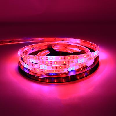 China FLOWER SMD2835 Red Blue 5:1 Full Spectrum Indoor Factory Waterproof Soft LED Strip Grow Strip Light for sale