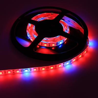 China Other 12V 5Meter SMD5050 LED Red Blue 4:1 Soft Strip Light Waterproof Grow Strip Light for Indoor Plants for sale