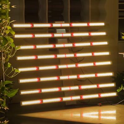 China Seed Starting Full Spectrum 1000W LM301H/301B Eight Light Bars Led Grow Light For Indoor Plants for sale