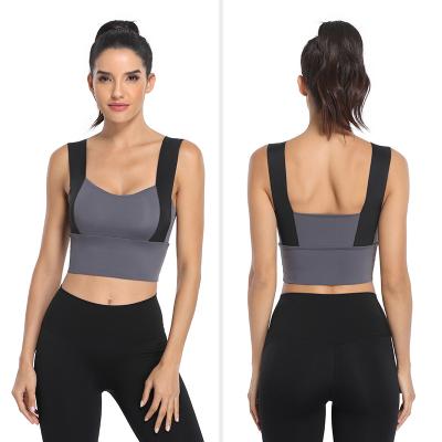 China Breathable Assorted Color Plus Size Female Fitness Vest Sports Underwear Yoga Shockproof Sports Bra For Women for sale