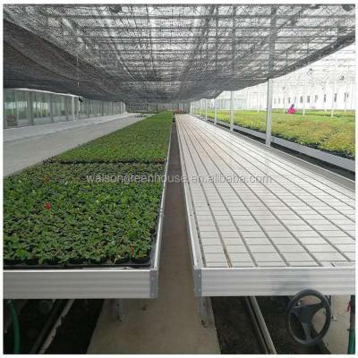 China Fruit Flower Growth Ebb Flow Table Rolling Flood Table Rolling Vegetable Bench for sale