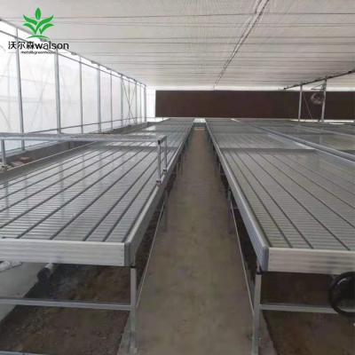 China Bench Vegetable Hydroponic System Rolling Greenhouse Growth Flower Fruit Growing Table with Support Trellis à venda