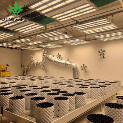 China Vegetable Fruit Flower Growing Greenhouse Rolling Bench Ebb and Flow Propagation Table for Hydroponic Plants Growing à venda