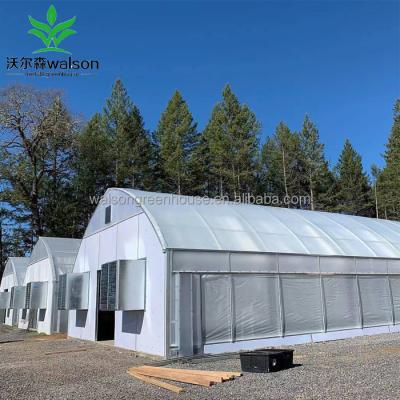 China Walson Herbs Fully Automated Light Deprivation Greenhouse for sale