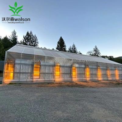 China Top Quality Herbs Film Covering Automatic Light Deprivation Greenhouse for sale