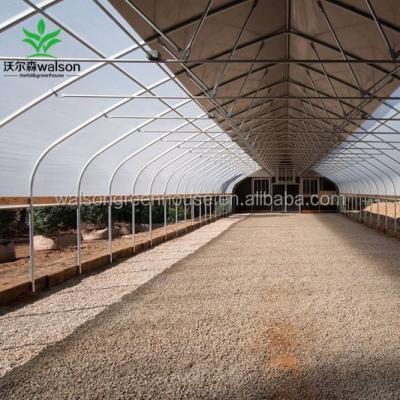 China PE Wlalson Fully Automated Lightweight Deprivation Greenhouse for sale