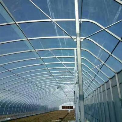 China Plastic Agriculture Clear Single-span Double-Layer Film Greenhouse With Low Price zu verkaufen