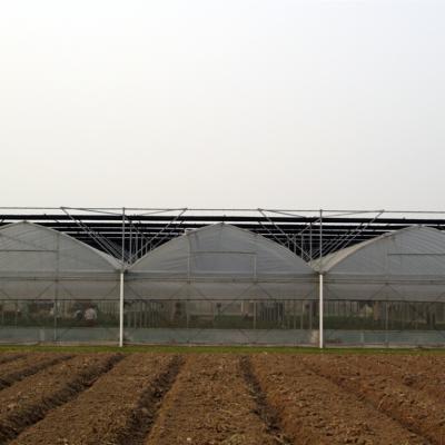 China Agriculture Pe Film Poly Glass Tunnel Reinforced Plastic Film Greenhouse For Poultry House for sale