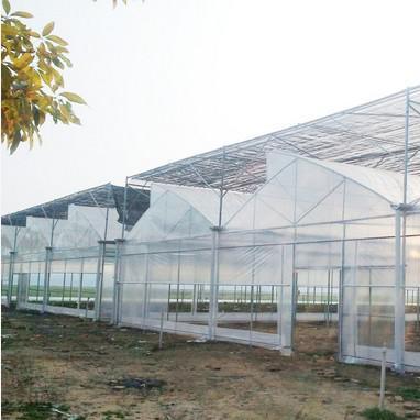 China Low Cost Sawtooth Roof Vent Greenhouse Reinforced Plastic Greenhouse For Nursery zu verkaufen