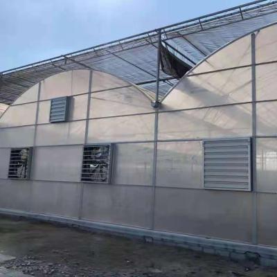 China PE Greenhouse Agriculture Transparent Film Multi Span Greenhouse zu verkaufen