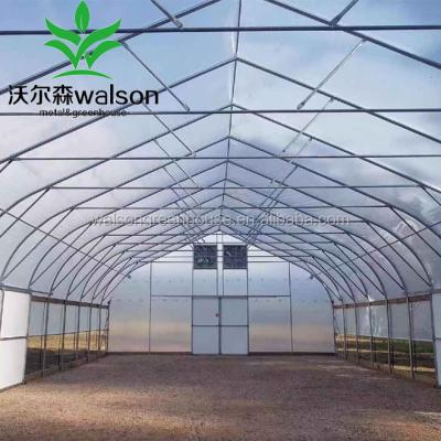 China Economical Agriculture Single Span 200 Micron High Poly Film Tunnel Greenhouse For Vegetable zu verkaufen