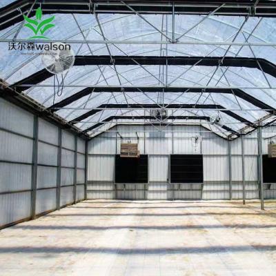 China 275g/m2 Hot Dip Galvanized Steel Pipes Top Quality Film Covering Automatic Light Deprivation Greenhouse for sale