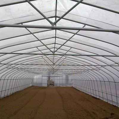 China High Quality And Low Cost Single Span Cast Iron PE Greenhouse à venda