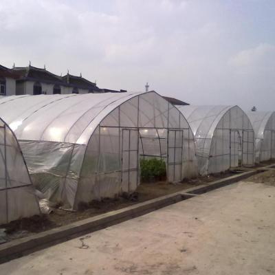 China Agriculture Long Service Life, Good Sunlight, Cheap Single-span Greenhouse Solid Frame à venda