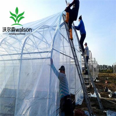 China Agriculture greenhouse manufacturers sell tunnel greenhouse with hydroponics en venta