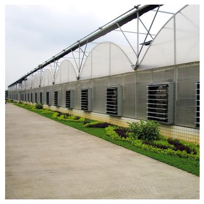 China Easy Installed Low Cost Garden Plastic Sheet Glass Greenhouse For Strawberry for sale