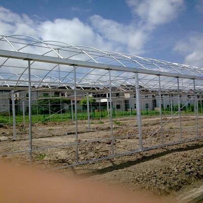 China PE Profiles Long Lifespan Stable Structure Small Aluminum Multi-span Greenhouse for sale