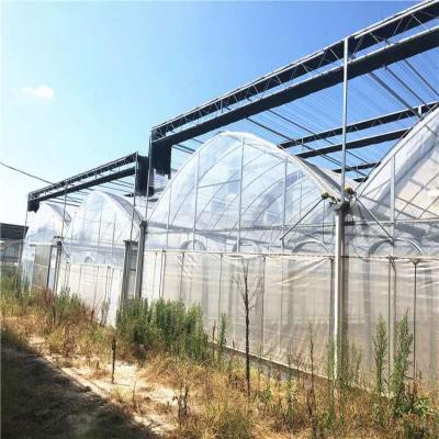 China Agriculture Cheap And Easy To Build And Install PE Film Agriculture Multi-span Greenhouse for sale