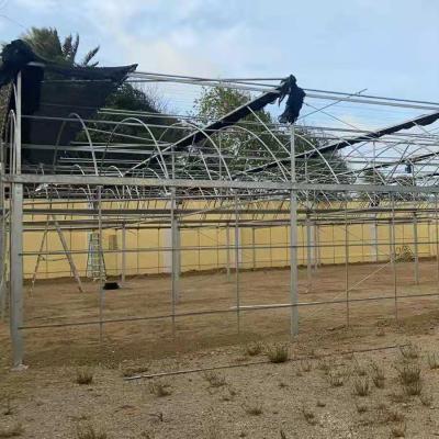 China Efficient And Superb Multi Span Aluminum PE Greenhouse for sale