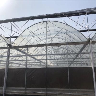 China Agriculture Circle / Cold Rolled Locking Profile / Green House Agricultural Film Tying Accessories à venda