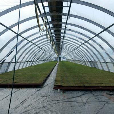 China Water Saving Polytunnel Water Sprinkler Garden Drip Irrigation Agricultural System for sale