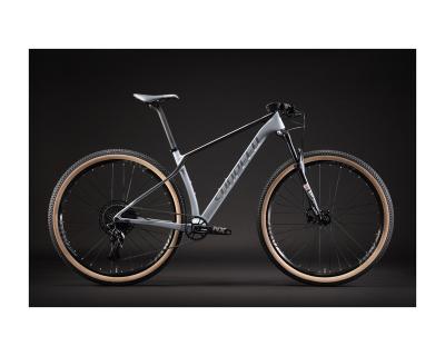 China Luxury SUNPEED ROCK Price High Quality Carbon Frame Beaten Mountain Bike for sale