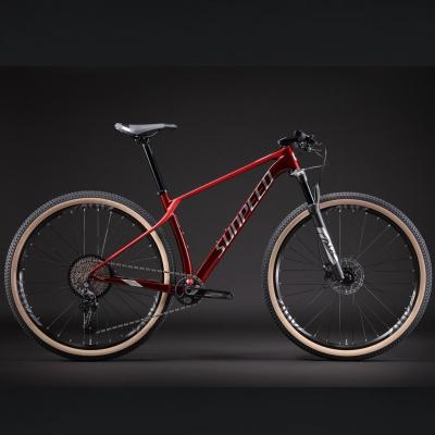 China Racing Hot Sale Fashion Mountain Carbon Bike 29 Inch 12 Speed ​​Leisure Fitness Competition Bicycle for sale