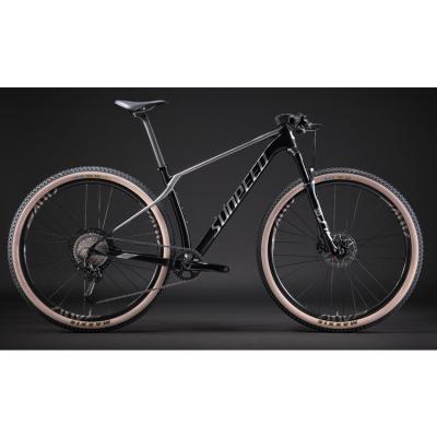 China 2021 Carbon Fiber China Fashion Luxury Carbon Bike 29 Inch 12 Speed ​​Carbon Fiber Mountain Bike for sale