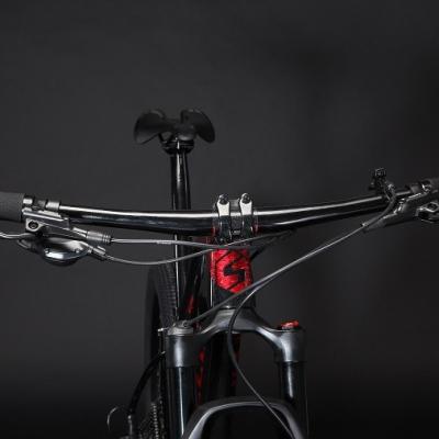 China Hot new design variable speed full carbon fiber sales pro suspension SUNPEED Eagle carbon mountain bike for sale