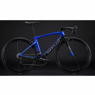 China Tour Road Bikes Sunspeed Single Affordable High Performance Road Bike Sport Carbon Road Bike for sale